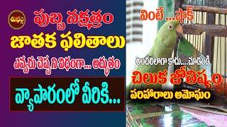 అదృష్టమే,పుబ్బనక్షత్రంచిలుక జోస్యం| PUBBA NAKSHATRA2021 |CHILUKA JOSYAM |PARROT ASTROLOGY|SHUBHAM TV