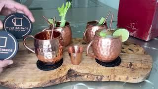 Advanced Mixology [Gift Set] Mule Science Moscow Mule Mugs Set of 4 (19 oz