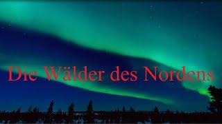 Die Wälder des Nordens - Doku