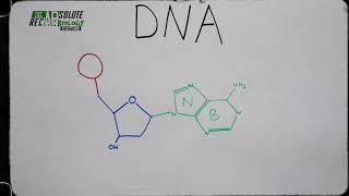 The APsolute RecAP - Bio Bites - Ep 001 - Nucleotide