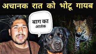 भोटू के जाते ही सबकी सांसे अटक गई || Pahadi Village Lifestyle Vlog || Pahad Wale Bhaiya.