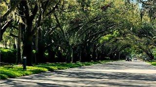 THE VINES | Estero Florida Homes and Real Estate for Sale | by Steven Chase | Gated Community