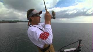 Jigging Softbaits for Chinook Salmon