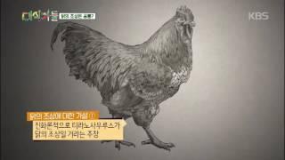 대식가들 - 세계인이 즐겨먹는 닭! 닭의 조상은 공룡?.20161029