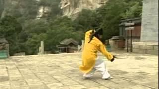 WUDANG Three Treasures TAI CHI by Master Wang Ping !