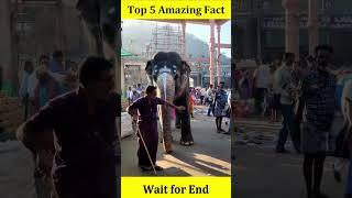 Top 5 Amazing Facts   #facts #5amazing #amazingfact #easyfacts #viral #animals #trending #new #viral