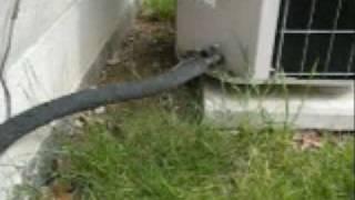 Home Inspector Canfield OH Shows Issues With An AC Unit