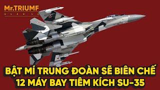 Không quân Việt Nam mua 12 tiêm kích Su 35 Nga: Bố trí ở đâu? - Mr Triumf Quân sự