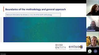 ENTSO E & EU DSO Entity Webinar on the public consultation of the EMDR National Flexibility Needs Me