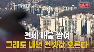 대출 칼바람에 관망세 돌아선 전세시장[말하는 기자들_산업_1224]