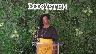 Kingdom Ecosystems:  What is an Ecosystem?