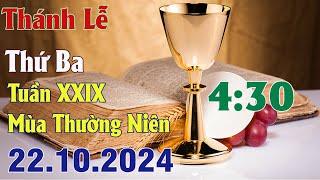 Thánh lễ trực tuyến 4:30 Hôm nay | Thứ Ba Tuần XXIX Thường Niên | 22 / 10 / 2024 Trực Tiếp