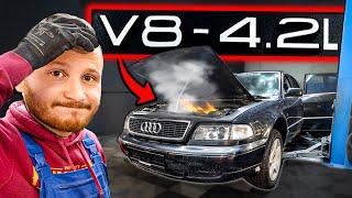 Die ersten STARTVERSUCHE... (billigster Audi A8 4.2L V8)