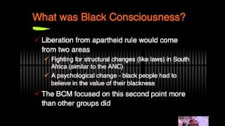 Steve Biko and the Black Consciousness Movement