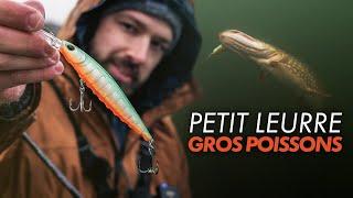 Je CHERCHE ce poisson à 700 Dents dans une eau translucide ! Pêche aux leurres.