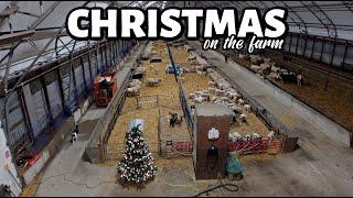 Christmastime is HERE!!...on (and OFF) the FARM!!  VLOGMAS 2024 (14)