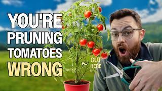 How To Prune Your Tomatoes Like A Pro For HUGE Harvests - Australian Veggie Gardening