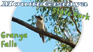 Bushwalking in Mount Granya State Park and to Granya Falls