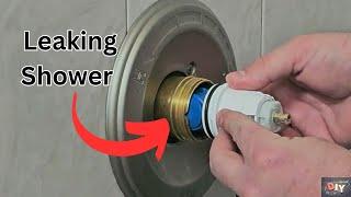 Delta Shower and Tub Cartridge Replacement: What You Need to Know