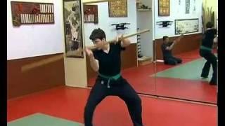 Bujinkan Deutschland