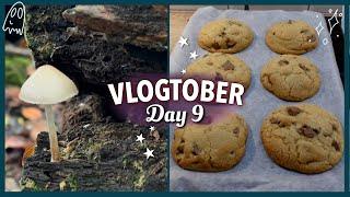  Toadstool ring and Phoebe's Nutella Cookies ️ Vlogtober Day 9