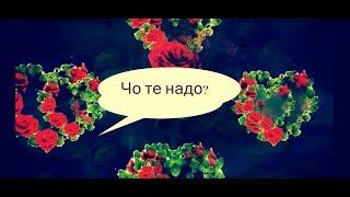 Чо те надо #Чотенадо #Созданиевидео #МаргаритаЗемцова