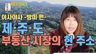 이사야사 -방미편- 제주도 부동산 시장의 현 주소