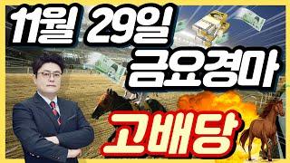 #11월29일. 월말 금요경마 고배당 최강분석!