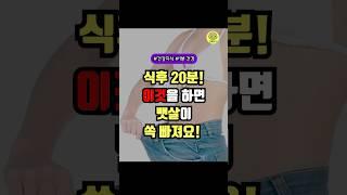 누워도 뱃살 모양 그대로? 식후 20분 ‘이것’ 해보세요!