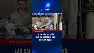 Lào Cai: Khởi tố 03 người dùng hóa chất độc hại ủ giá bán ra thị trường