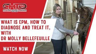 What Is EPM, How To Diagnose and Treat It, With Dr Molly Bellefeuille