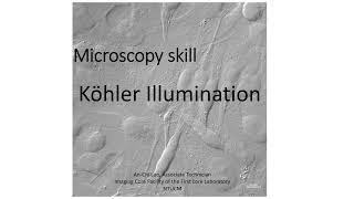 柯勒照明校正與DIC觀察 【彩色影像擷取必看】Tutorial:  Kohler illumination and DIC for Upright microscopy