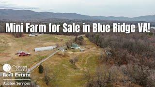 Mini Farm for Sale in Blue Ridge VA!