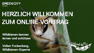 Wildbienen kennen lernen und schützen