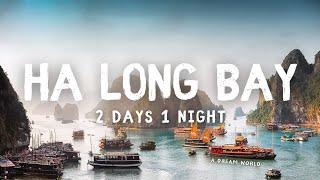 Halong Bay Cruise 2 Days 1 Night 2025 - Halong Bay Luxury Cruise Vietnam