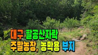 [매물 787] 대구 팔공산자락 주말농장, 농막용부지. 산으로 둘러 쌓여진. 나만의 힐링 장소. 양지바른 땅. 팔공산 땅.  (대구 땅, 대구부동산, 팔공산 토지)