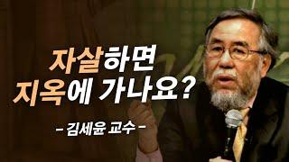 자살에 관한 성경적 관점, 세계적인 신약학자가 정확히 대답해드립니다 | 김세윤 교수