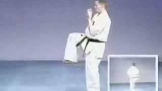 Kyokushin Seipai Kata