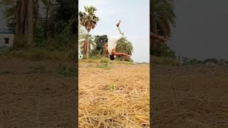 flipper boy asoke  stylish boi  #backflip #tiktok #viralattitudeshots #shorts