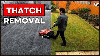 DIY Scarify & Lawn Dethatch (Timelapse)