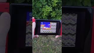 What can a Modded Nintendo Switch do?