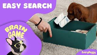 Brain Games for Puppies and Dogs — Easy Search DIY | EveryDoggy