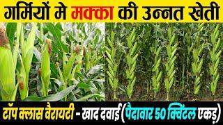 Makka ki kheti | भयंकर गर्मी में मक्के की खेती | Maize/Corn farming in India, A to Z जानकारी 2024