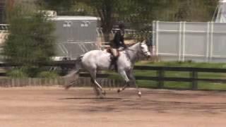 Video of Lalique ridden by Leanna Antenucci from ShowNet!