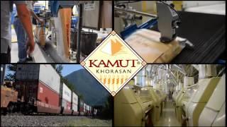 A Quick Introdution to KAMUT® Brand Khorasan Wheat