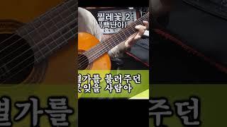 찔레꽃 2 (백난아)