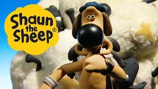 Stick With Me | Shaun the Sheep | S1 Full Episodes