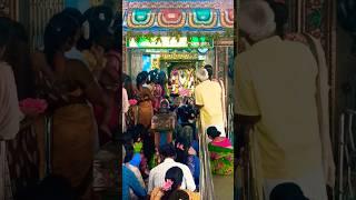 Kanda Sashti Festival 6.11.24 Sri Balamurugan darshan  Porur #murugantemple  #youtubeshorts