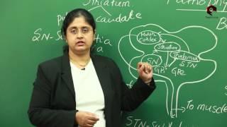 Teach Global - Glimpse of the Lectures