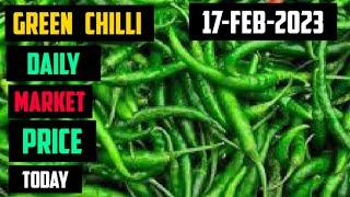 Green Chilli Wholesale Market Price  INDIA Today 17 February 2023